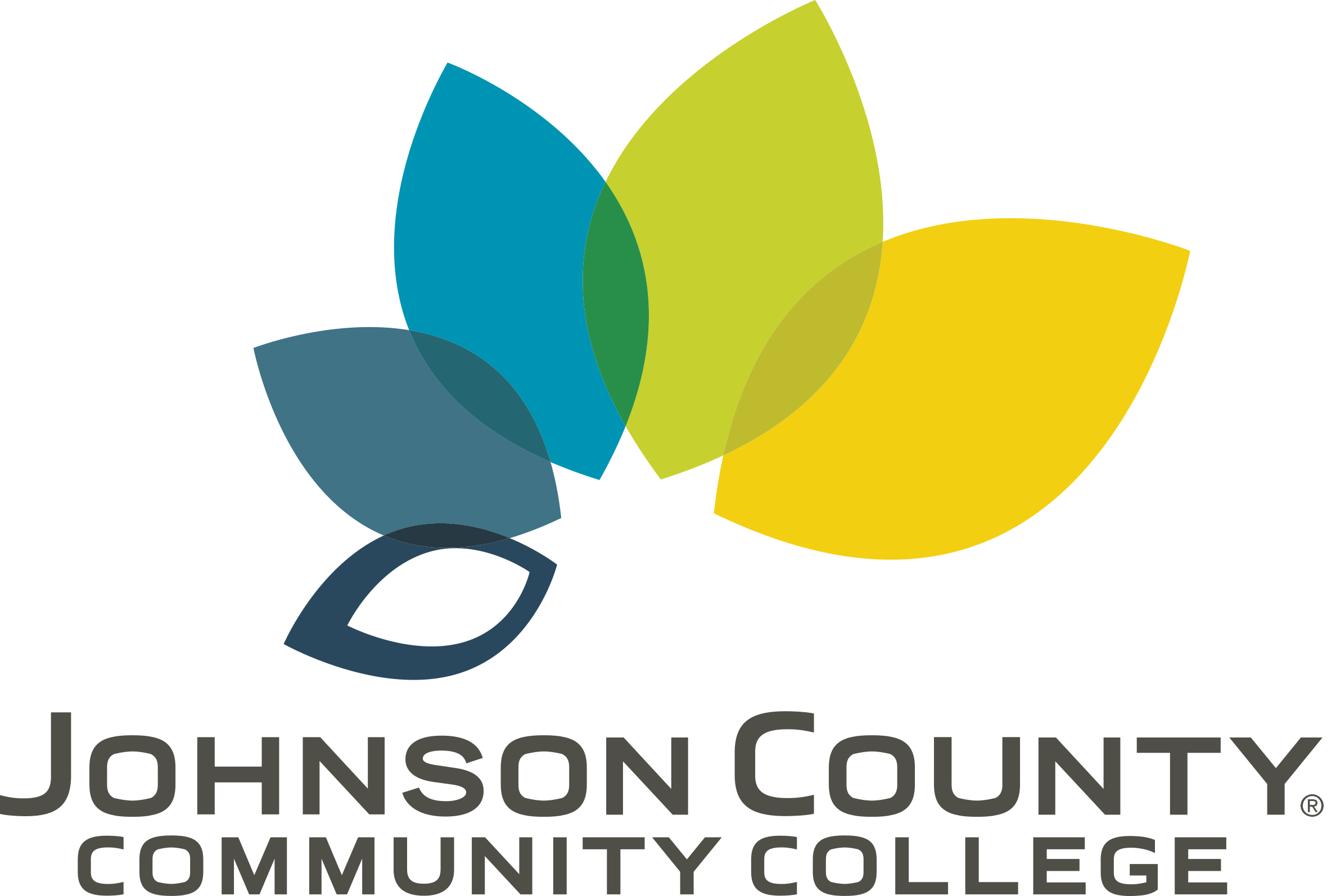 Organization logo